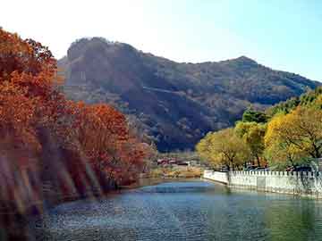 澳门天天开奖免费资料，水泥地面裂缝